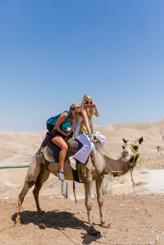 Camel Ride Pilgrim Image